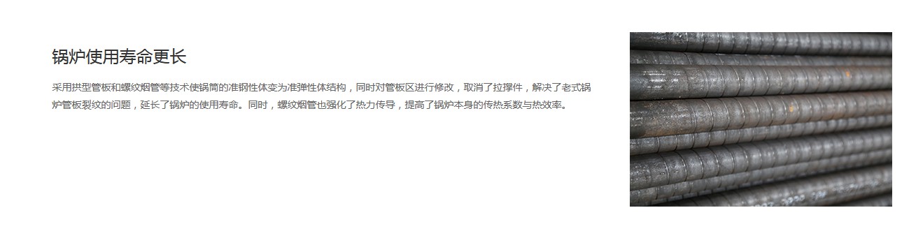 DZH型手燒生物質鍋爐產品介紹5.JPG
