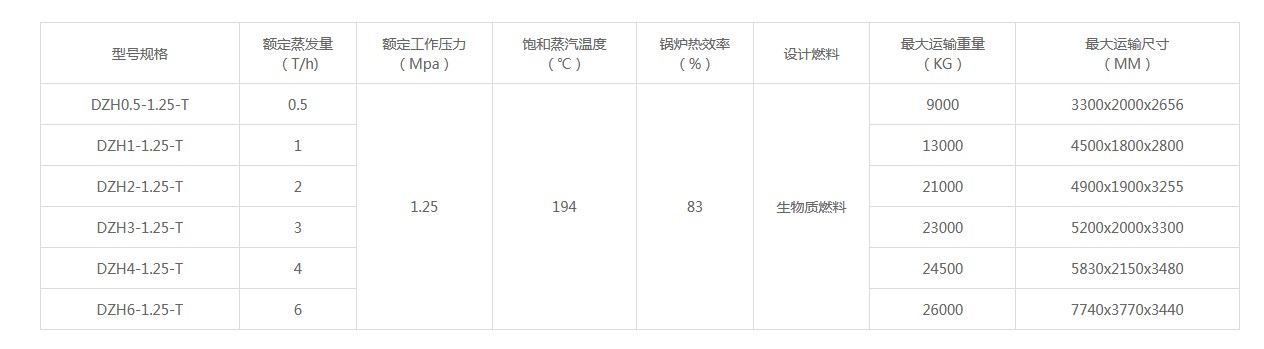 DZH型生物質蒸汽鍋爐.JPG