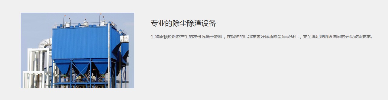DZH型手燒生物質鍋爐產品介紹2.JPG