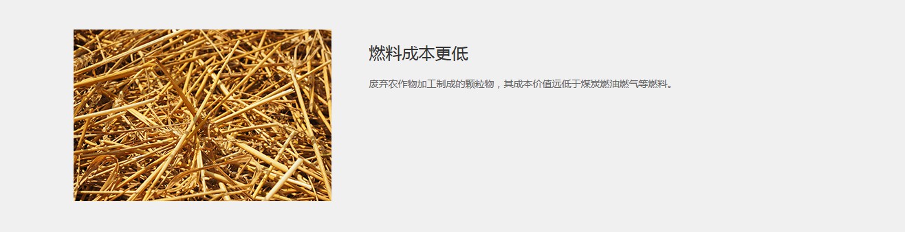 DZH型手燒生物質鍋爐產品介紹4.JPG