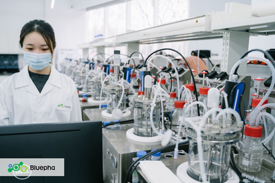 【首發】藍晶微生物完成累計15億人民幣B系列融資,加速落地「T型」發展戰略