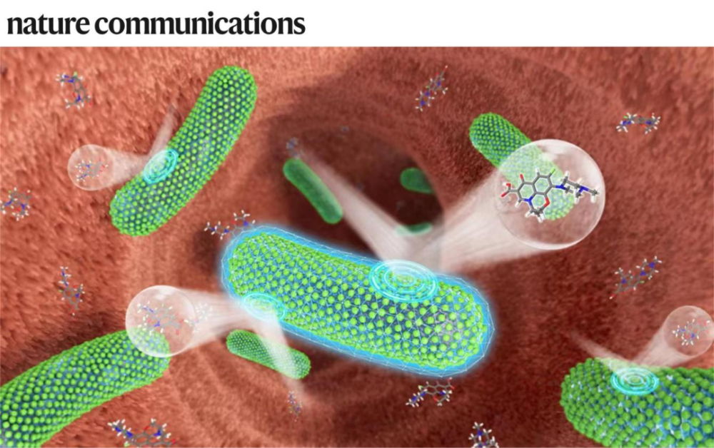 專訪郭俊凌丨川大/哈佛團隊合作開發(fā)植物多酚納米材料,可保護(hù)益生菌免受抗生素殺傷,相關(guān)LBP活體生物藥計劃推進(jìn)臨床I期
