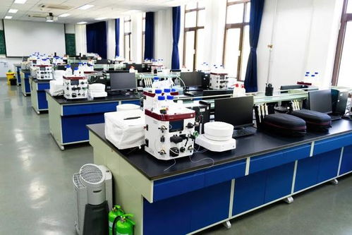 藏在清華教學(xué)樓里的 動物世界