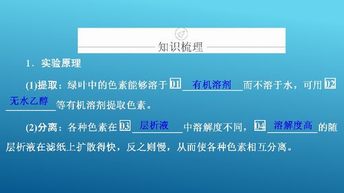光與光合作用 從生命基礎到生物基材料技術研發的橋梁